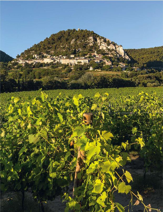 Accroché à la montagne, Séguret est classé parmi les plus beaux villages de France.