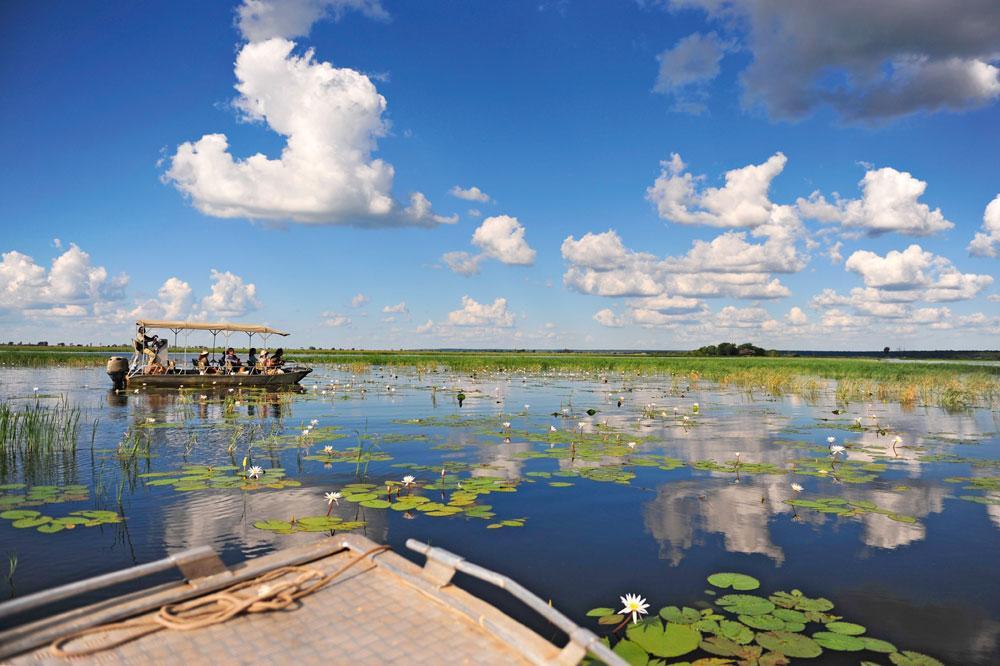 Safari nautique dans les marécages de Sedudu, sur la rivière Chobe.