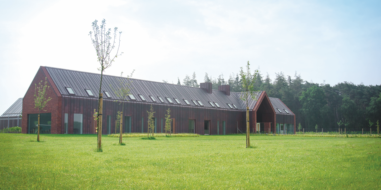 Reposons-nous dans les bois: les cabanes les plus originales pour un séjour en Belgique