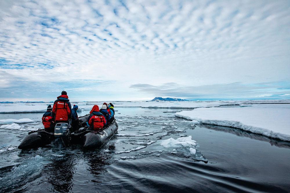 Reportage: dix jours au Groenland à la recherche des ours blancs