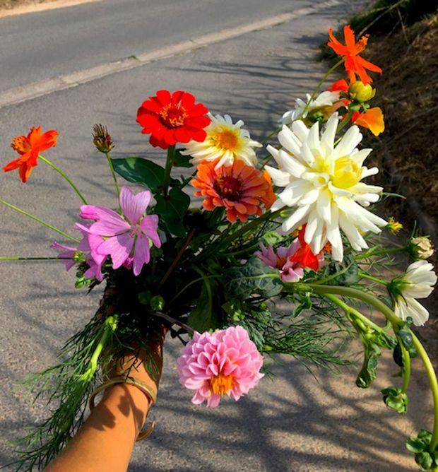 Bouquet composé de fleurs cultivées par Pascale Malilo