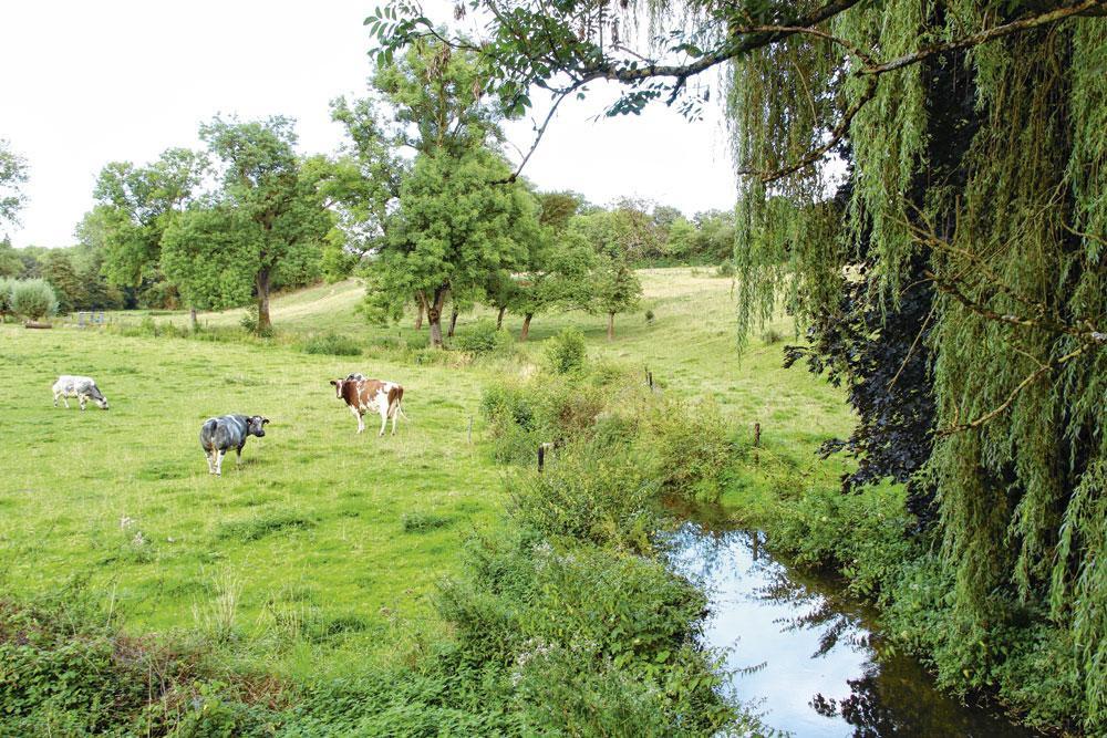 Le champêtre ruisseau du Bocq, à Emptinale.