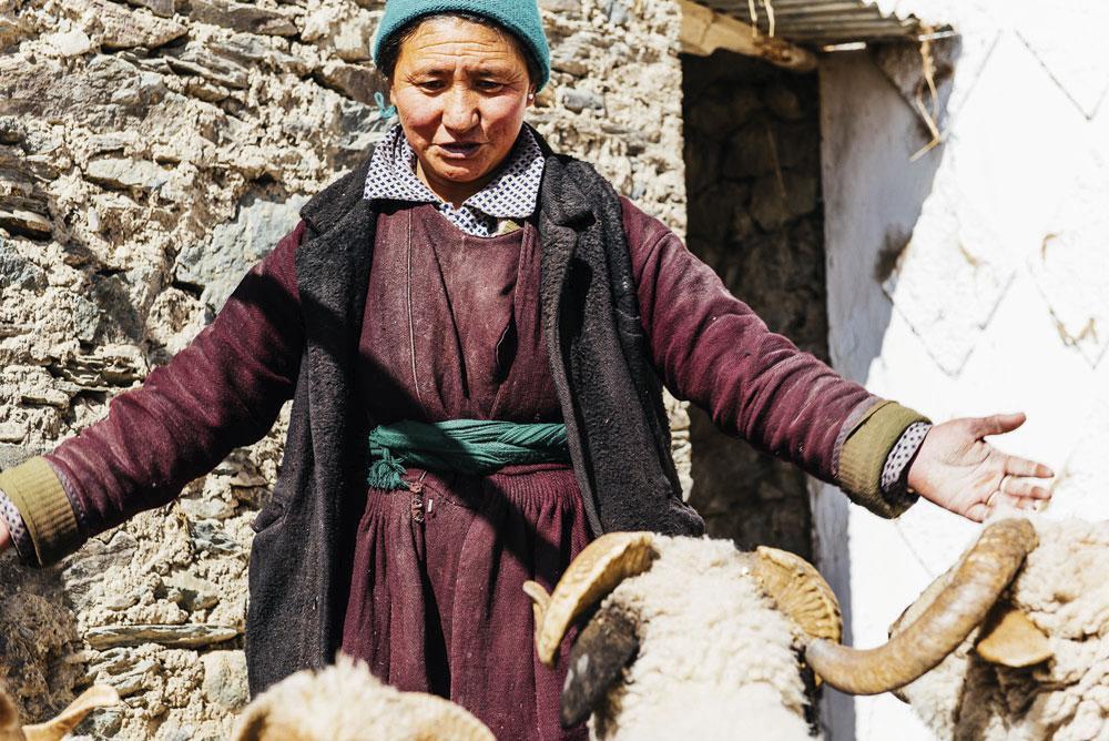Tout en soignant ses yaks, Dolma Detchen nous confie: 