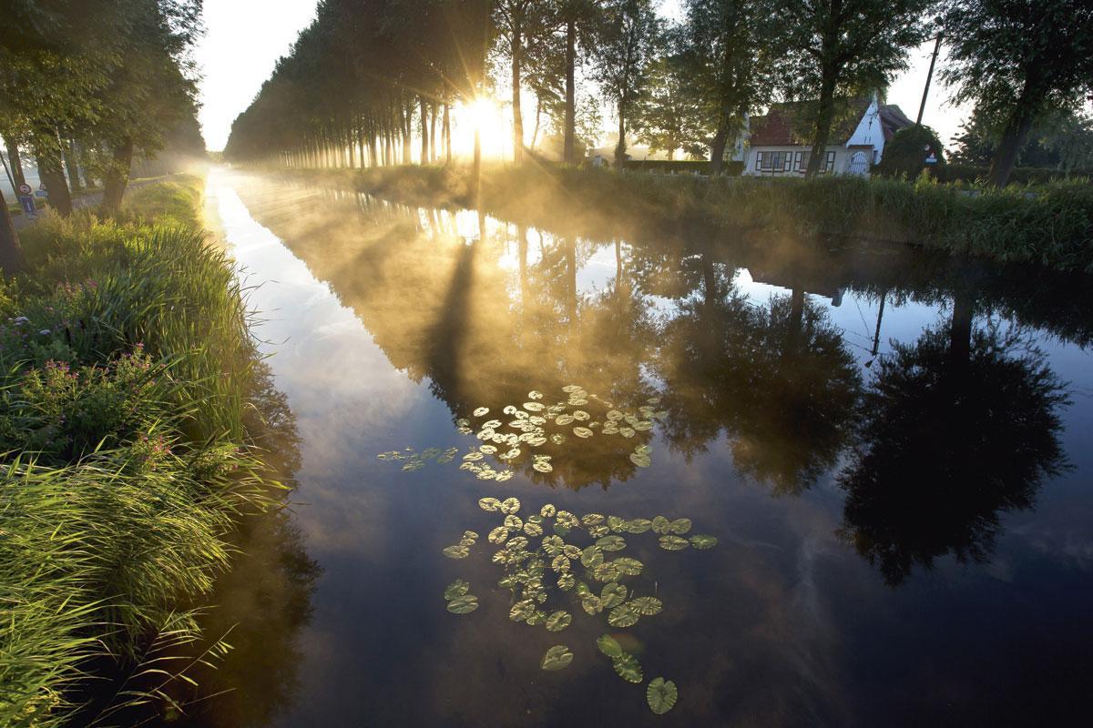 Baignade sauvage autorisée: notre sélection de lieux pour piquer une tête en Belgique