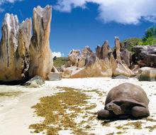 Les Seychelles, paradis pour tous