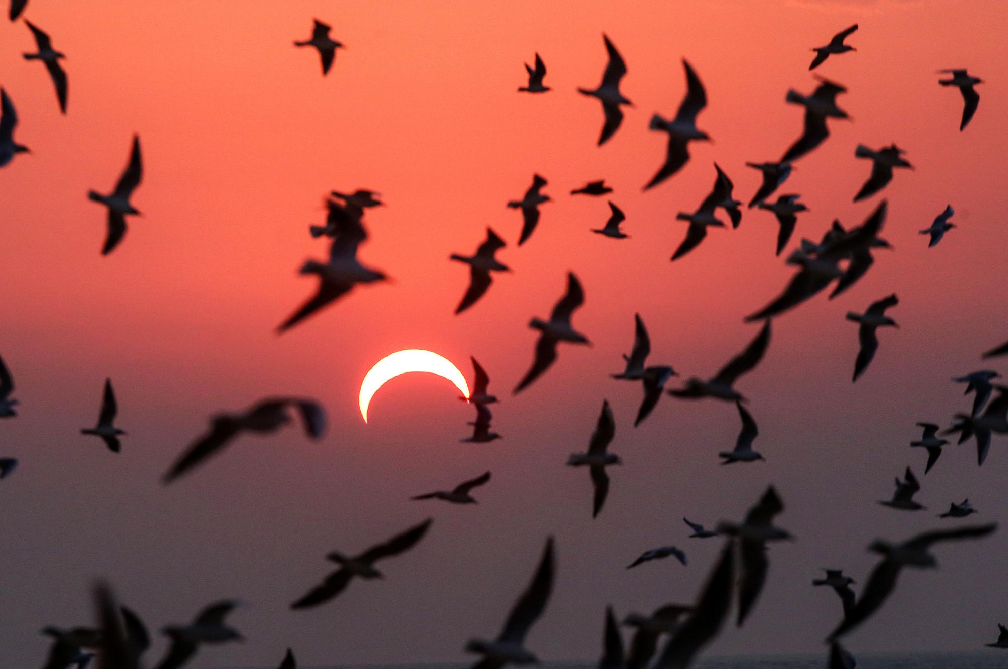 Les astronomes amateurs admirent une éclipse 