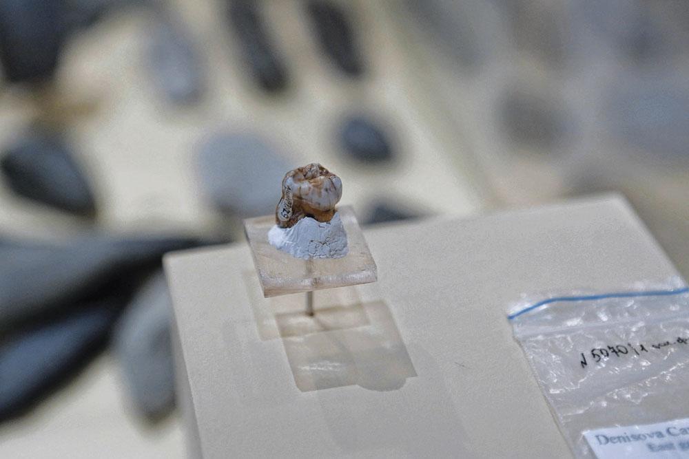 Grâce à une dent trouvée dans la grotte de Denisova, en Sibérie, les chercheurs sont désormais à même d'identifier les traits principaux et la morphologie des habitants qui peuplaient l'Asie il y a 50 000 ans.