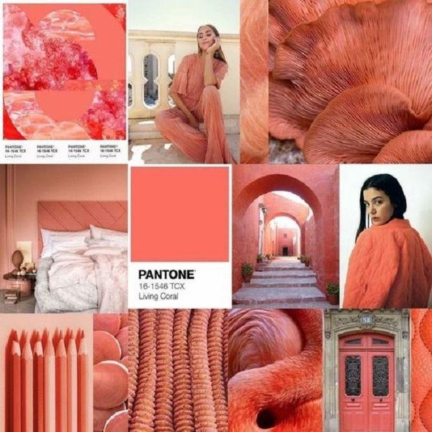 Corail Vivant, la couleur de l'année 2019 selon Pantone