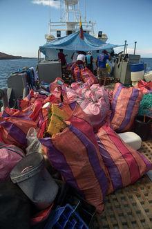 L'invasion plastique menace les Galapagos et son écosystème unique au monde (en images)
