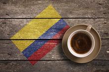 En Colombie, les femmes luttent et misent sur les grands crus de café