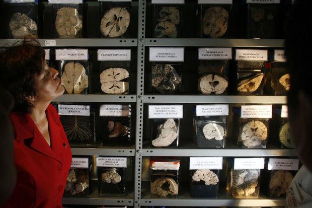Diana Rivas devant une partie des specimens conservés au sein de sa 