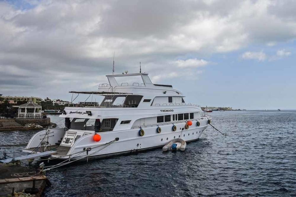 Dans les eaux bleues de la mer Rouge, les touristes menacent les coraux (en images)