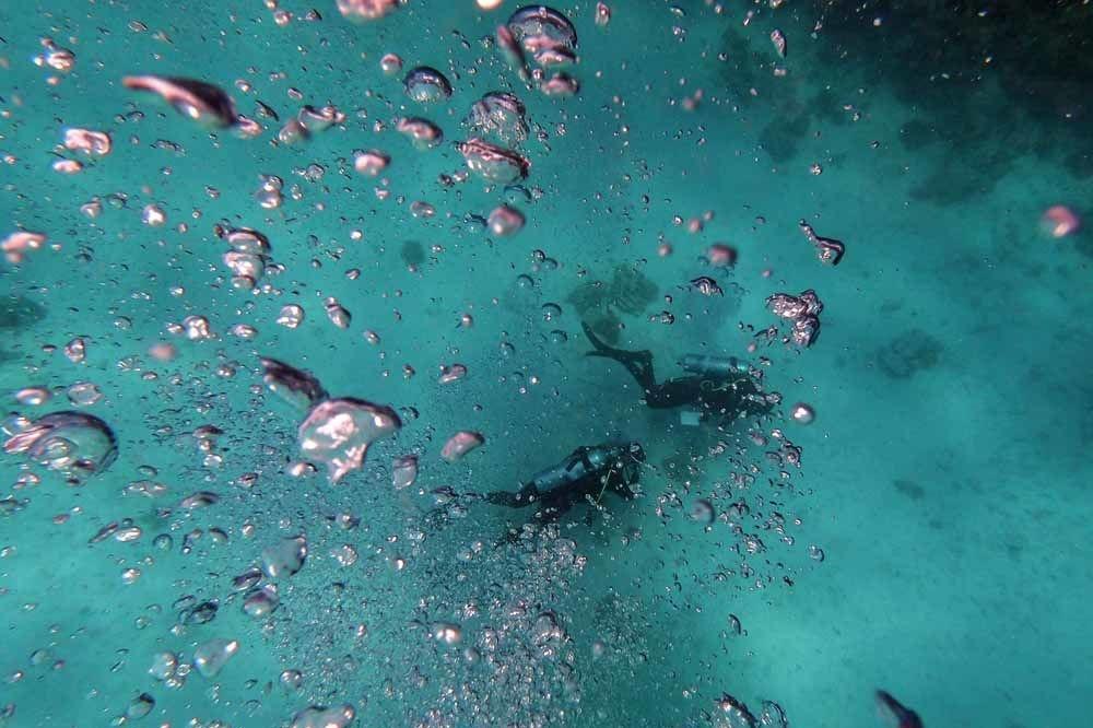 Dans les eaux bleues de la mer Rouge, les touristes menacent les coraux (en images)