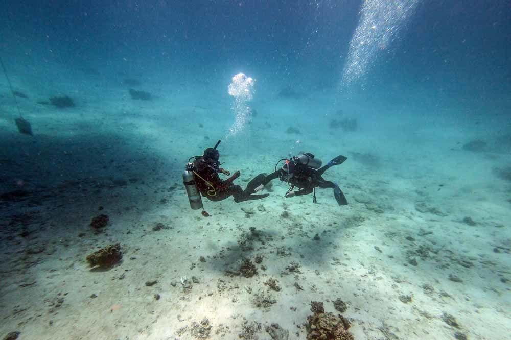 Dans les eaux bleues de la mer Rouge, les touristes menacent les coraux (en images)