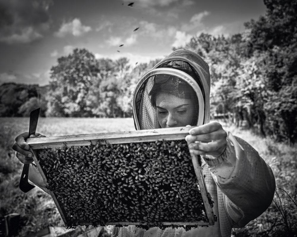 L'Unesco et Guerlain volent au secours des abeilles