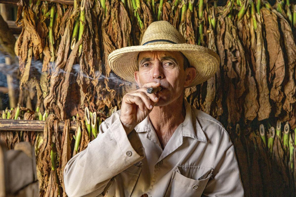 Le cigare est devenu un véritable emblème de l'île, grâce à des cultivateurs de tabac chevronnés.