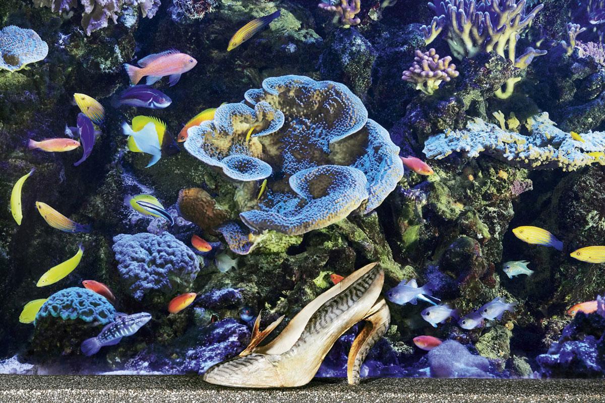 Son escarpin en peau de maquereau, présenté à côté d'un aquarium dans l'expo.