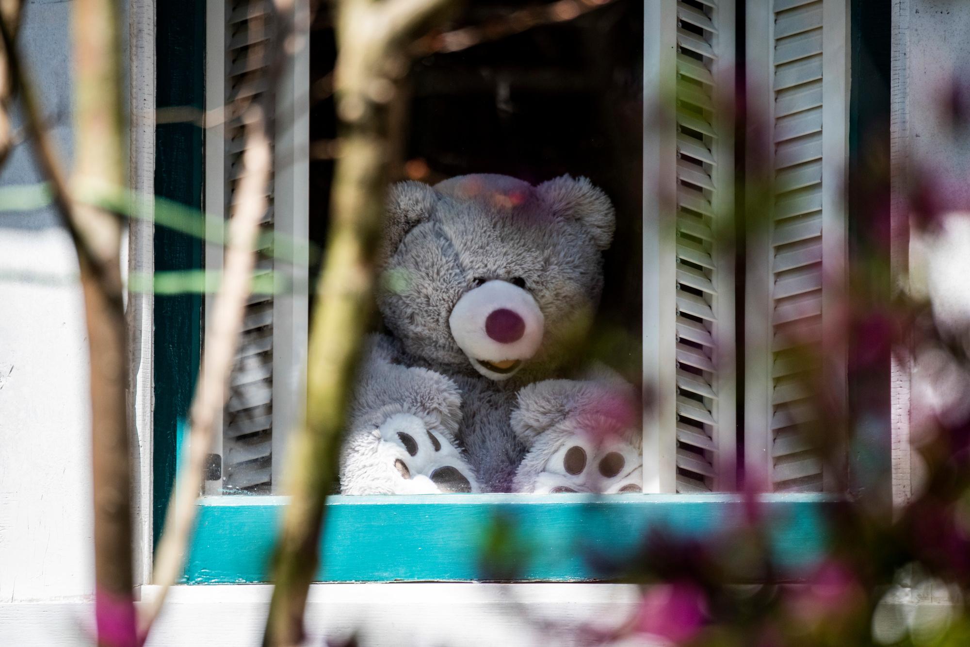 Une chasse géante aux ours en peluche pour animer les sorties des enfants est lancée à Washington