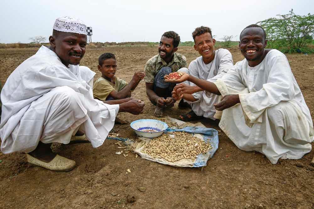 Le Soudan n'exporte plus de cacahuètes