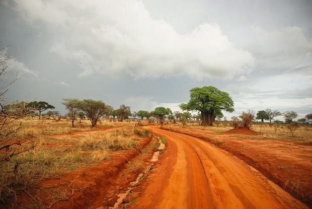 Tanzanie: la terre des géants
