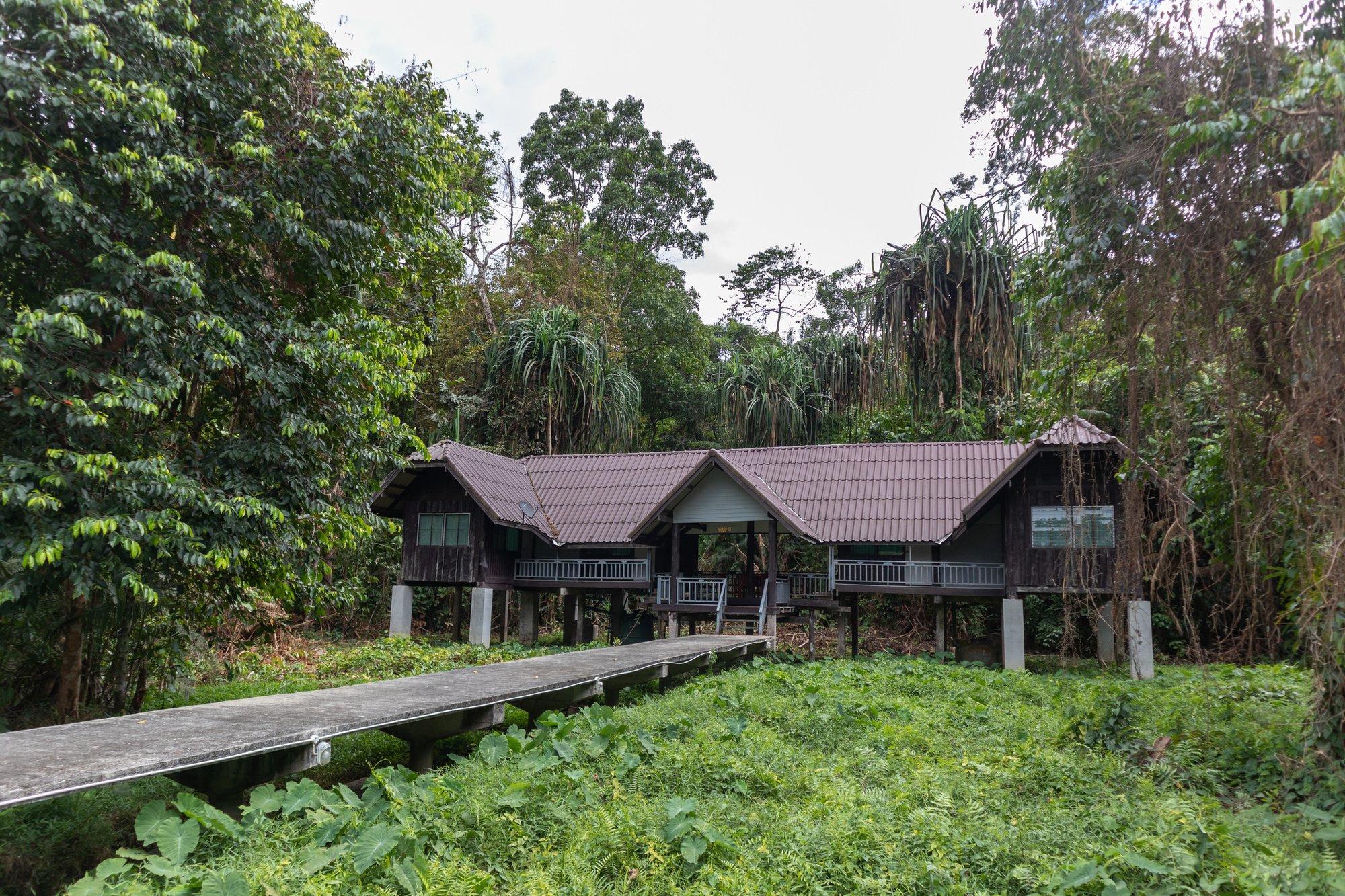 Thale Ban National Park