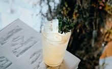 Un cocktail sans alcool de Matthieu Chaumont, à? base de jus de rhubarbe, jus de citron jaune, kombucha et sirop de sauge.