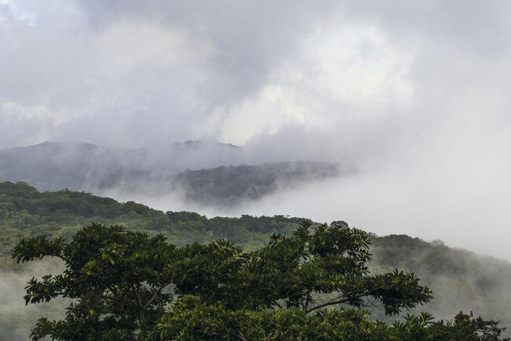La forêt de nuages de Monteverde, un paradis vert où le brouillard adore venir se lover.