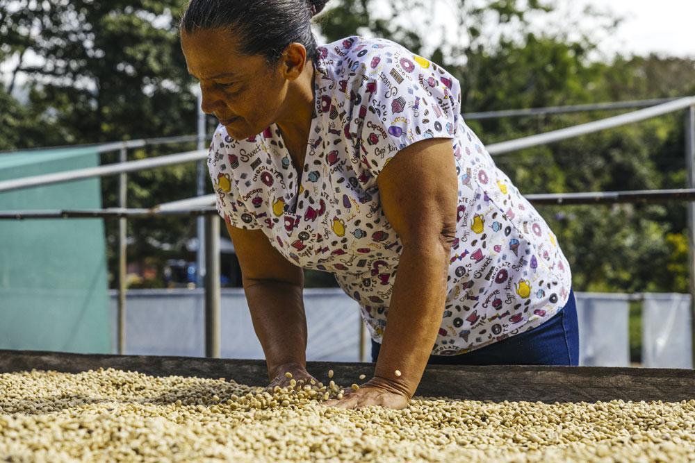 Laura, l'une des femmes d'Asomobi, en train de sécher les grains de café.
