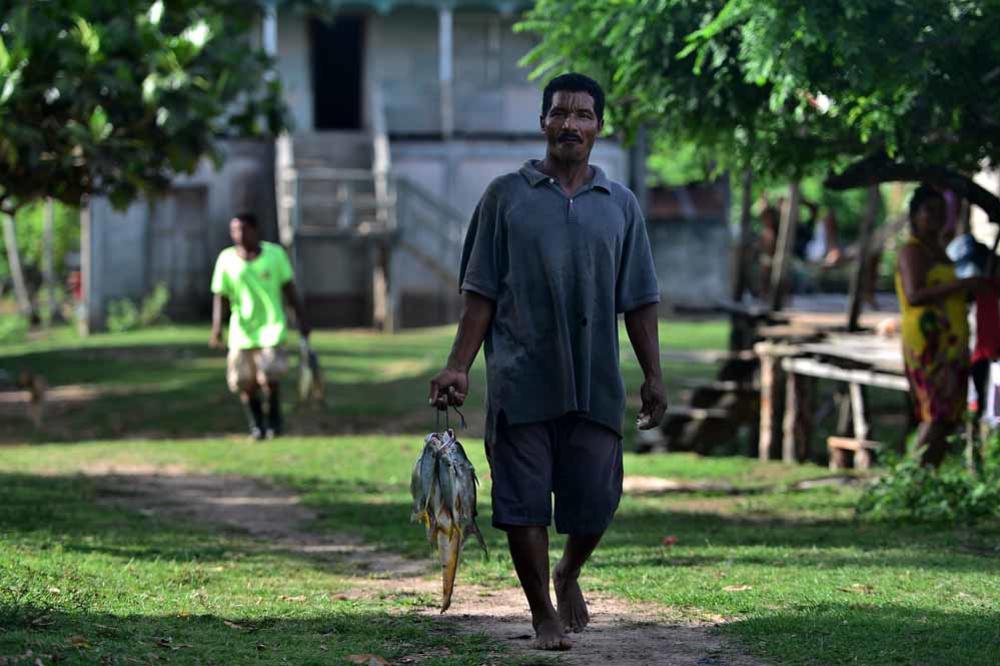 La pêche à la langouste au prix de la vie des Indiens mosquitos (en image)