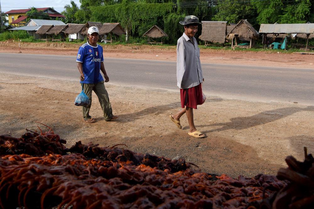 Du rat en brochette, une collation de plus en plus populaire au Cambodge