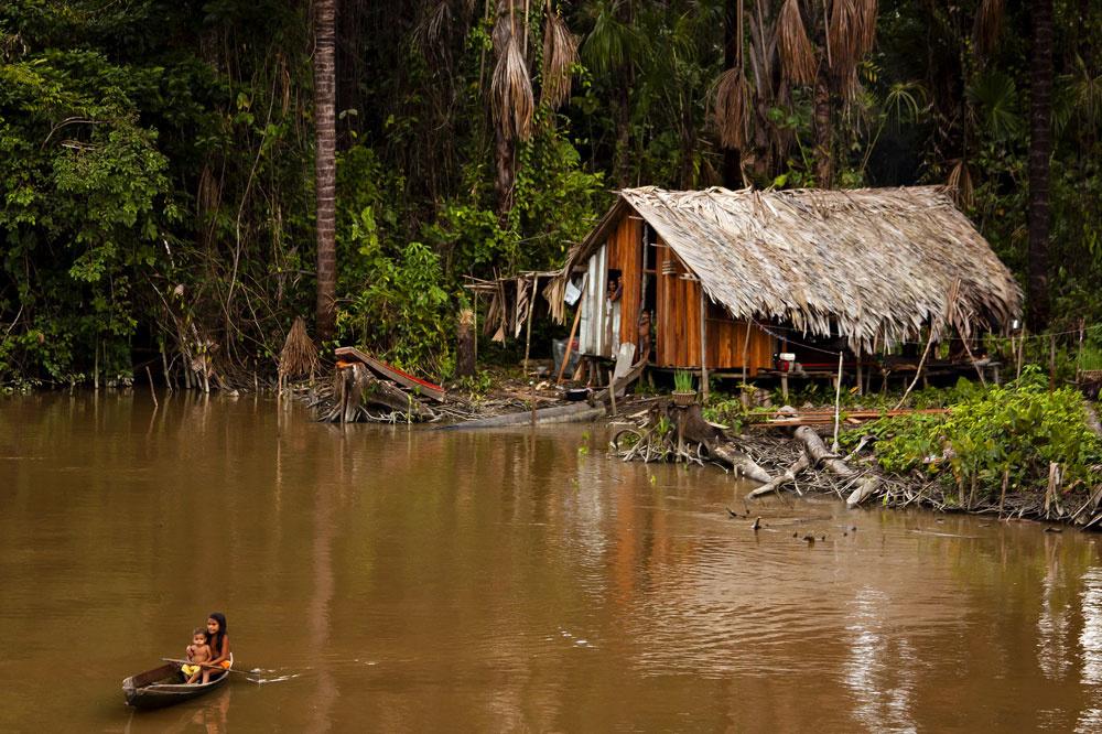 L'Amazonie, terre de mystère, est en danger