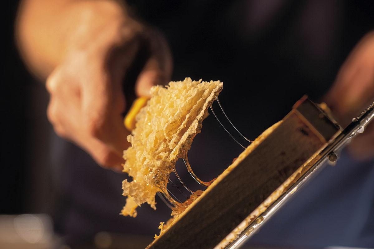 Les secrets de fabrication d'un miel onctueux made in Belgium (+recette)