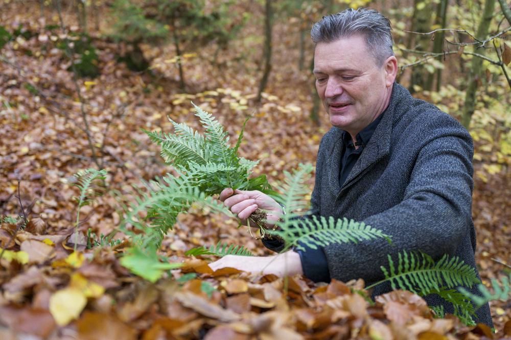 René Mathieu en pleine cueillette