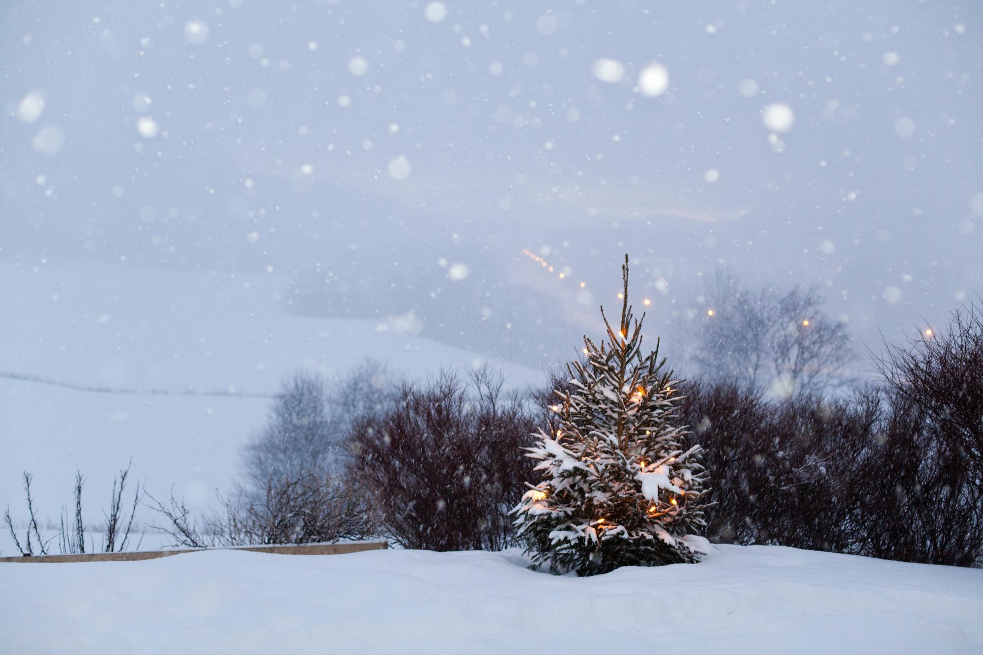 Peut-on rêver d'un Noël blanc cette année ?
