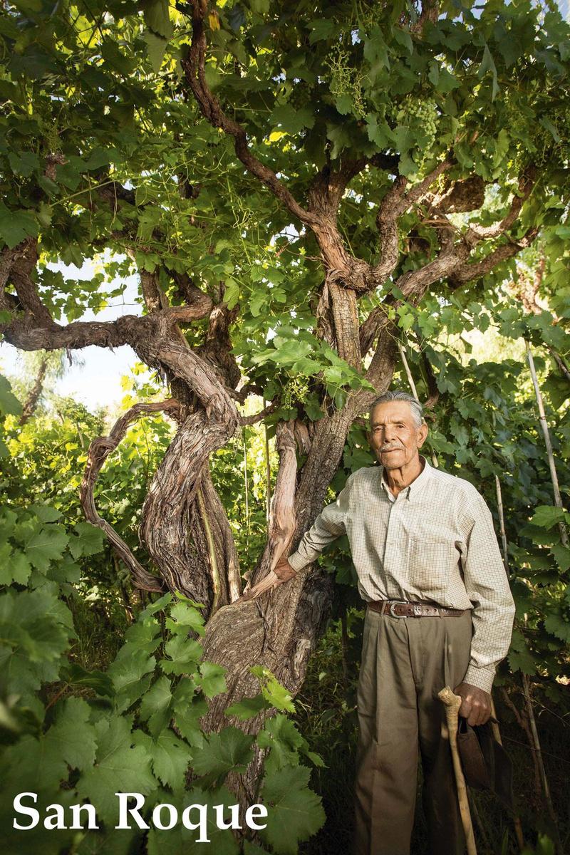 Le Master of Wine néerlandais Cees van Casteren a aidé les viticulteurs boliviens à mieux produire et à croire en la qualité de leurs vins.