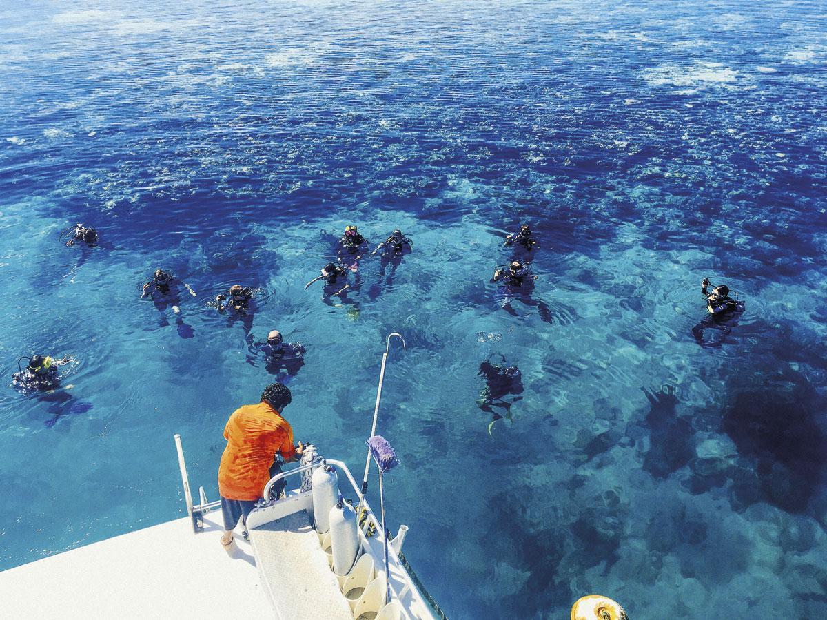 4. Le commandant Cousteau l'a classé parmi les dix sites préférés de plongée au monde.