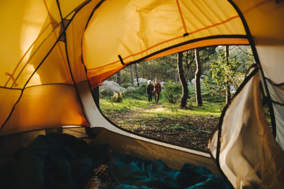 Canoë à l'aube, bivouac en pleine nature et promenade à dos d'âne: des aventures à vivre en Wallonie