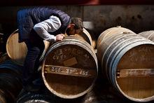Fréderic Barbot, producteur de Cognac au Domaine Marcadier-Barbot à Segonzac