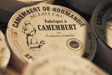 Le cri d'alarme des chefs étoilés français pour le camembert au lait cru