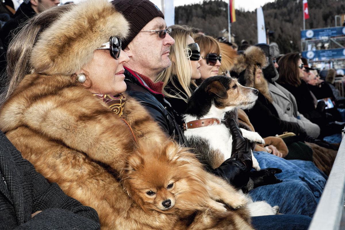Les spectateurs de la Snow Polo World Cup à Saint-Moritz, en Suisse, en 2011.