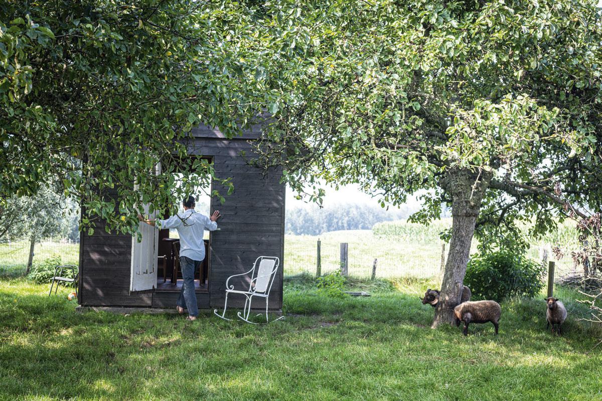 La cabane, inspirée d'un récit de l'écrivain Henry David Thoreau, a été exposée un temps avant de terminer dans le jardin de Stief.