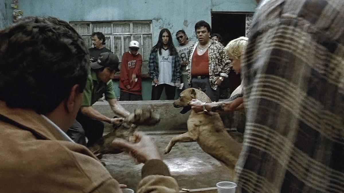 'Amores perros': de oerknal van de moderne Mexicaanse cinema