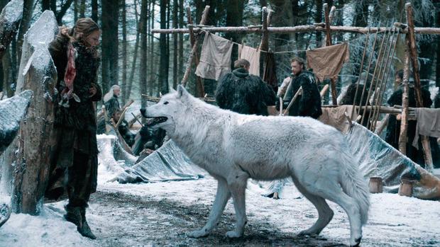 De direwolves blijken echt te hebben bestaan: 'Reuzenwolven liepen tot zo'n tienduizend jaar geleden rond in North Dakota.'