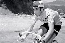 Le roi du Mont Ventoux - Eddy Merckx