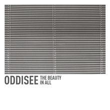 Oddisee - The Beauty in All