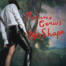 Perfume Genius kondigt nieuw album 'No Shape' aan (en lanceert eerste single 'Slip Away')