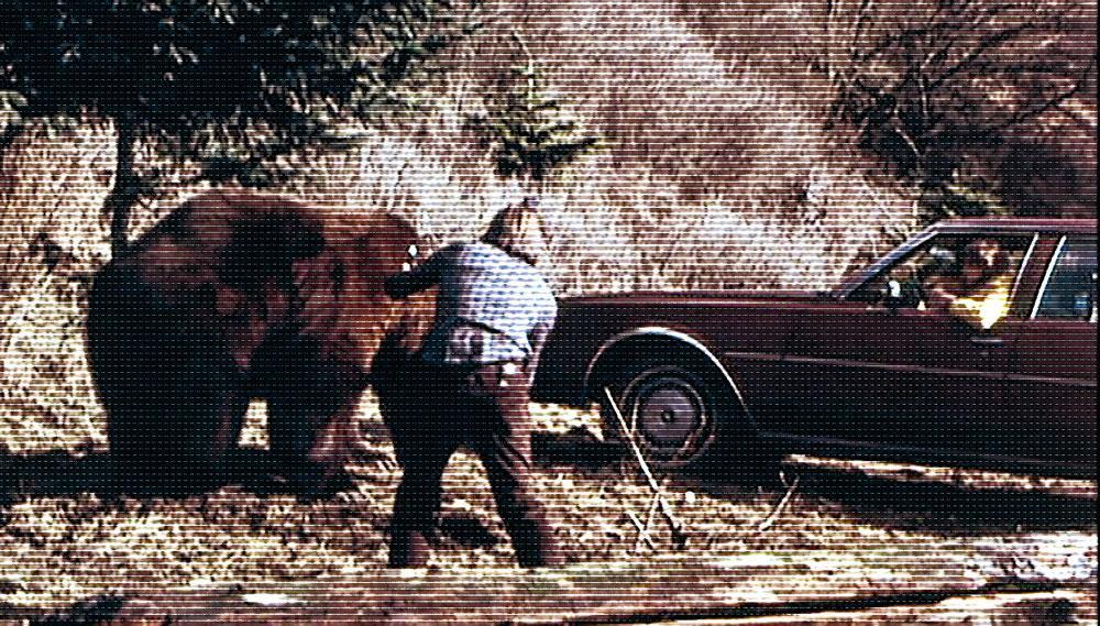 Gij zult geen beren van dichtbij filmen. Deze scène was in elk geval fake.