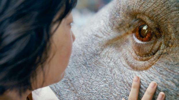 Okja, een gigantisch beest dat door een boerenmeisje is grootgebracht.