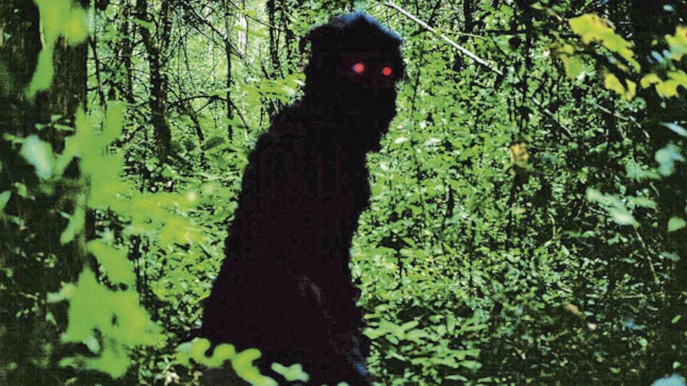 19. Uncle Boonmee Who Can Recall His Past Lives Apichatpong Weerasethakul