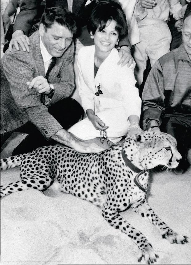 In Cannes met BURT LANCASTER, ter promotie van IL GATTOPARDO. 'Ik heb dat luipaard een kus gegeven. Voor Circus World, met John Wayne, heb ik ook nog leeuwen omhelsd.' 